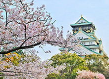 意甲官方晒8月精彩助攻合集，莫德里奇任意球助攻在列